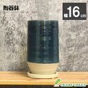 【店内全品ポイント2倍】 母の日 鉢植え ギフト プレゼント 観葉植物 鉢 5号 おしゃれ 陶器鉢 デザイン陶器 ソーサー付 ネイビー インディゴブルー 鉢植え...