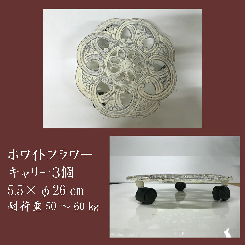 ���տ�ʪ �ץ�󥿡�����꡼ �֥饦�󥢥�٥��� ���ڰ�ư�� ����ƥꥢ £��ʪ ������ ����̵��