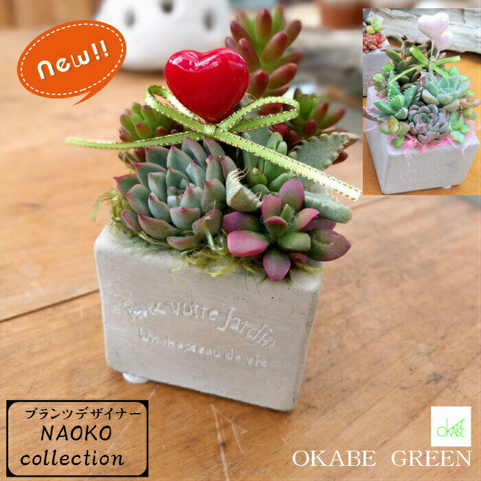 【夏季休暇中5％OFFクーポン配布中】 観葉植物 多肉植物 寄せ植え プランツデザイナーNAOKO セメント鉢 ギャザリング ハートピック お祝い 誕生日 お中元 ギフト プレゼント 開店祝 人気 送料無料