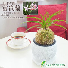 https://thumbnail.image.rakuten.co.jp/@0_mall/okabegreen/cabinet/thumb/fu-10_01.jpg