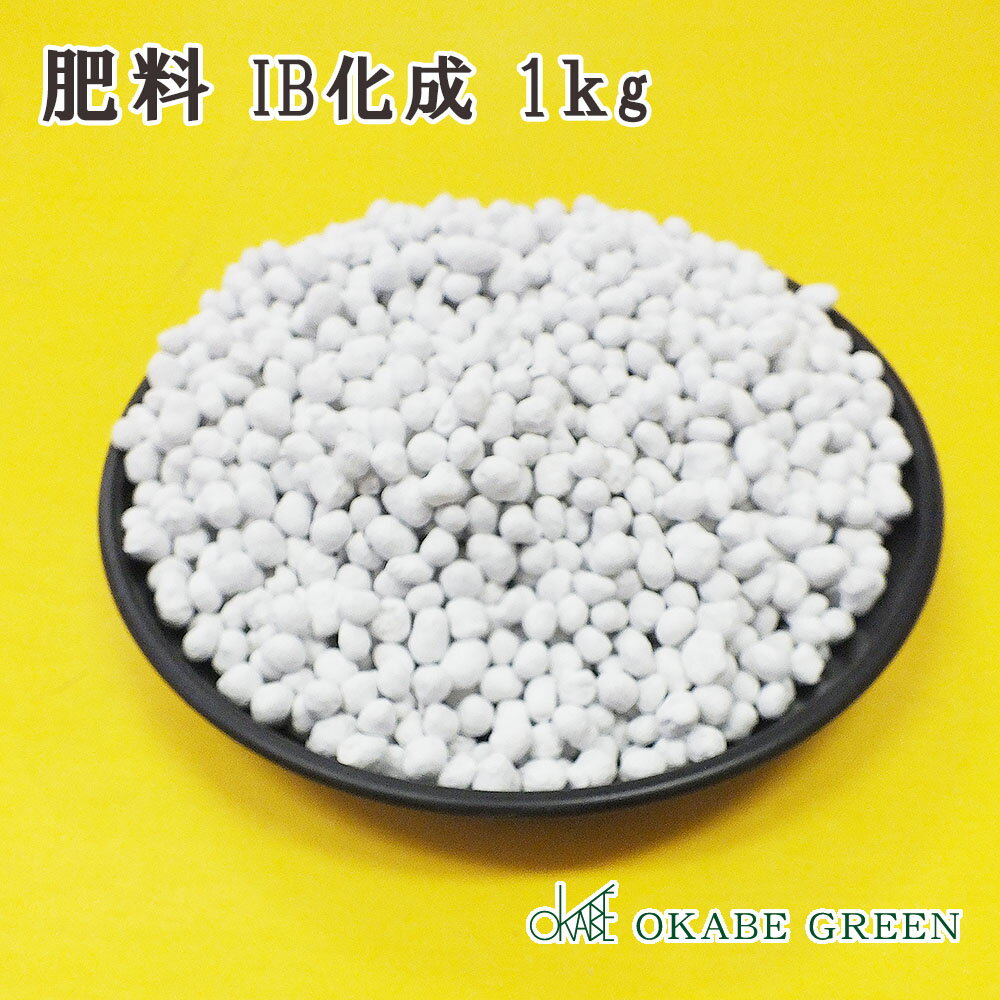 観葉植物 鉢植え IB化成 尿素入り 肥料 1kg 緩効性 粒状 単品【送料別】 [植え替えオプション]