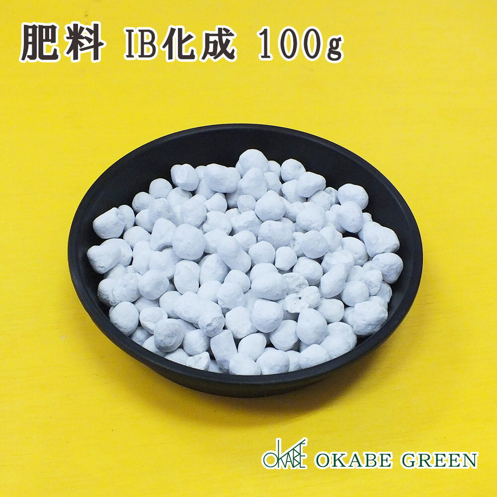 観葉植物 鉢植え IB化成 尿素入り 肥料 100g 緩効性 粒状 小分け 単品【送料別】 [植え替えオプション]