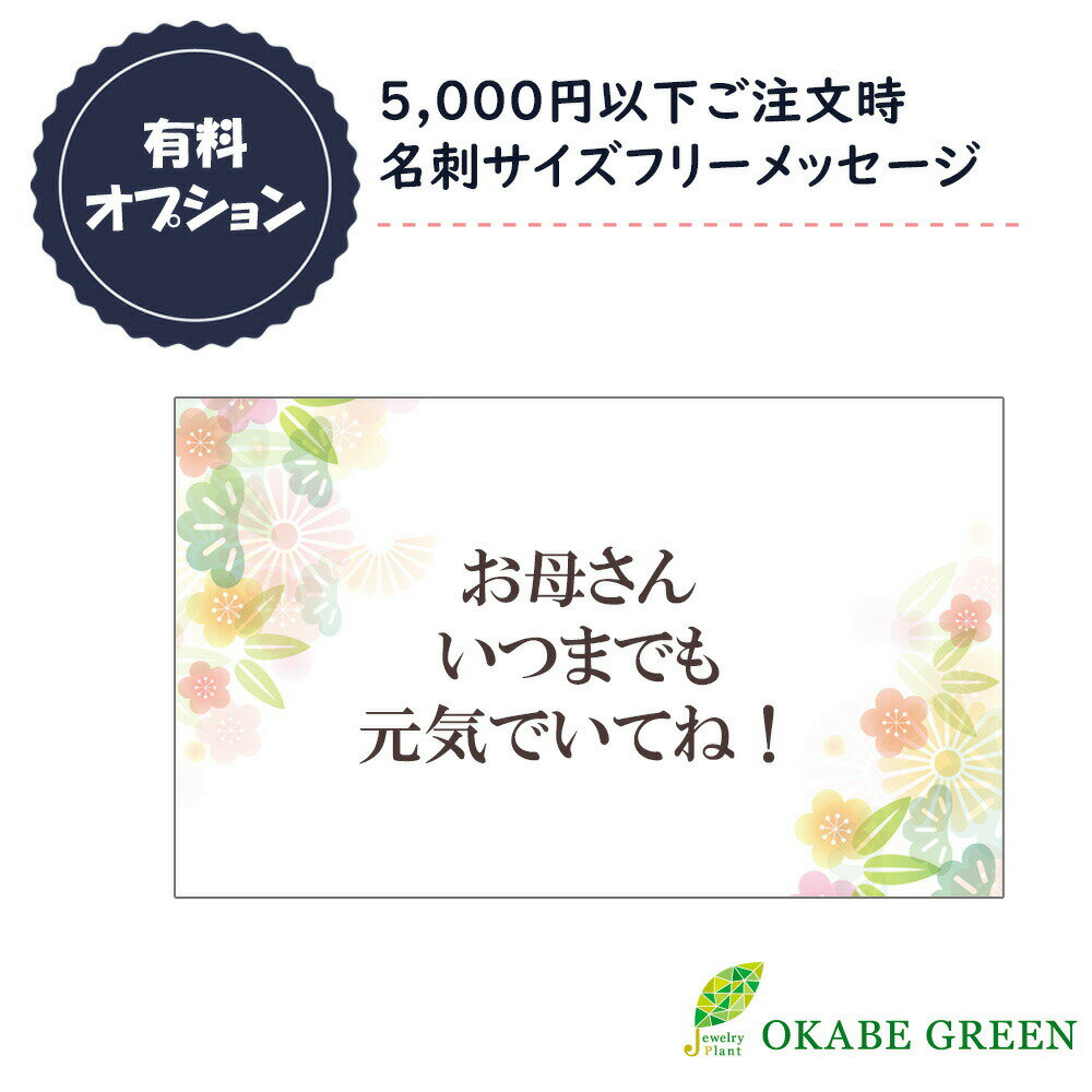 【有料メッセージサービス】 5000円以下ご注文時 フリーメッセージ 名刺サイズ ラッピング 贈り物 誕生日 包装 御祝 お祝い 父の日 [オプション] 送料無料