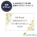 【GW限定クーポン配布中】 【有料メッセージサービス】 5000円以下ご注文時 フリーメッセージ 名刺サイズ ラッピング 贈り物 誕生日 包装 御祝 お祝い 母の日 [オプション] 送料無料