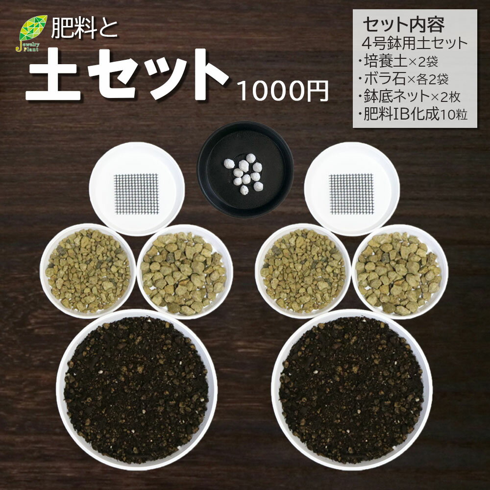 【肥料と土セット】 観葉植物 植え替え 4号土セット まとめ買い お手軽 簡単に植え替え出来る 肥料 IB化成 培養土 底ネット ボラ石 底石 送料無料 [植え替えオプション]