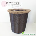 母の日 鉢植え ギフト プレゼント 観葉植物 鉢カバー おしゃれ 茶かご ツートン 8号 鉢植え お祝い 誕生日 引越祝い新築祝 インテリア 雑貨 ガーデン 送...