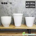 【店内全品ポイント2倍】 母の日 鉢植え ギフト プレゼント 観葉植物 鉢 7号鉢 陶器鉢 おしゃれ 鉢植え 選べるデザイン陶器 植木鉢 植え替えしゃれ 鉢植え...
