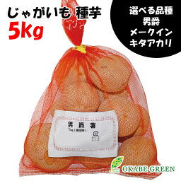 【店内全品P5倍決算セール3/31まで】 ジャガイモ 種芋 じゃがいも 5kg 秋植え 選べる品種 男爵 メークイン キタアカリ 北海道産検査合格済馬鈴薯種 菜園 野菜 栽培用 家庭菜園 M S サイズ 送料無料