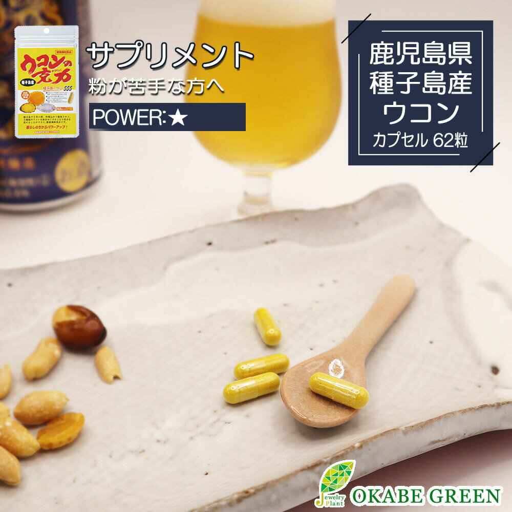 ウコンの克力 カプセル 62粒 健康補助食品 サプリ サプリメント ウコン 3種のウコン 健康 飲み会 飲みすぎ 二日酔い 【送料別】