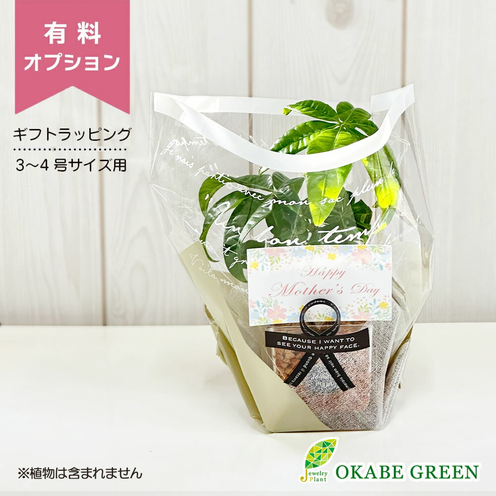 【有料ラッピングサービス】 3〜4号鉢用 ミニ ラッピング 包装 贈り物 誕生日 包装 御祝 お祝い ...