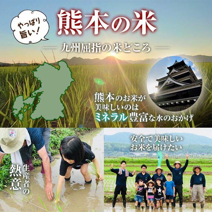 くまモン 米10kg【特別栽培米】ギフト　送料無料 米10kg【令和3年産】　熊本県阿蘇産コシヒカリ 5kg・ミルキークィーン 5kg 白米10kg (5kg×2袋) 贈答　景品【九州産　米】【くまモン　米】【お米 10kg】阿蘇　米　食べ比べ　米　くまモン　おいしい