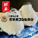 【新米】令和5年　熊本県天草産 コシヒカリ　玄米30kg(10kg×3袋)/白米27kg(9kg×3袋)【送料無料】【数量限定】【おいしいお米】【九州産　米】