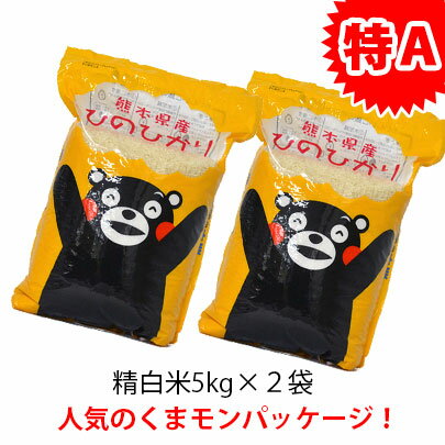 【米 10kg 送料無料】ギフト【送料無料】令和5年熊本県城