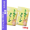 送料無料　令和1年産米　熊本県阿蘇産ミルキークィーン　白米10kg(5kg×2袋)　【契約栽培米】【おいしいお米】【九州産　米】【九州熊本県直送】【令和元年産】熊本県産【米 10kg 送料無料】【お米 10kg 送料無料】米/お米/コメ【みるきーくいーん】【熊本県産】