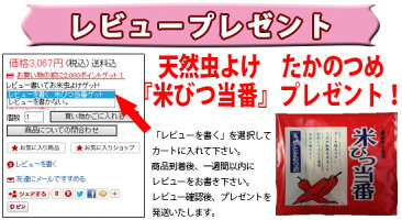 鷹の爪