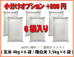 6袋小分け