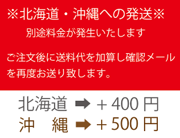 追加送料