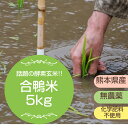 【無農薬】令和1年熊本県産　合鴨米　ヒノヒカリ　玄米5kg【おいしいお米】【九州産　米】【全国送料無料】
