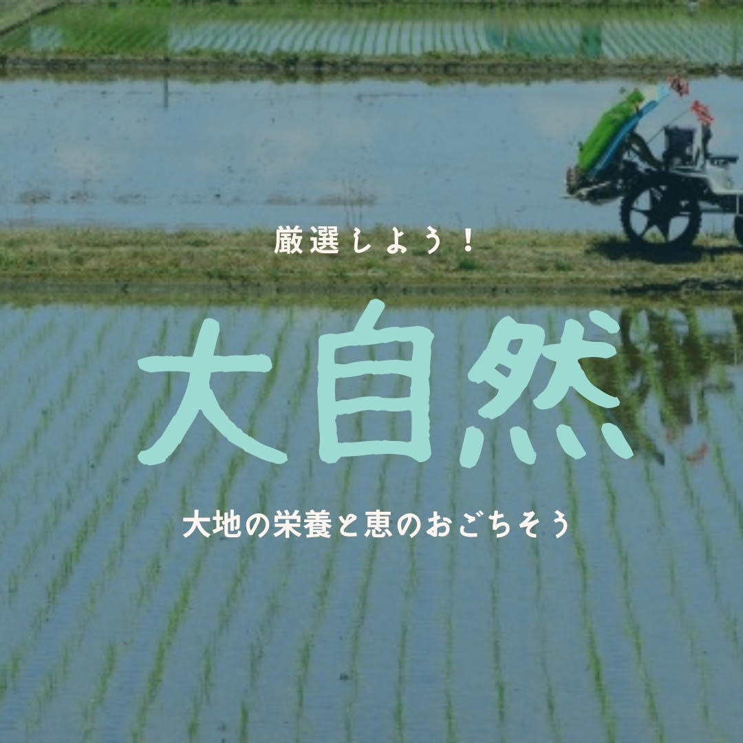 米 10kg 送料無料 コシヒカリ 白米10kg 阿蘇産 くまモン 減農薬 ギフト　贈答　熊本 米　【米 10kg 送料無料】【契約栽培米】令和7年産熊本県阿蘇産コシヒカリ　白米10kg(5kg×2袋)【送料無料】【おいしいお米】【九州産　米】【産地限定】【五ツ星マイスター厳選】減農薬　くまモン ギフト　こしひかり