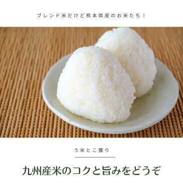 【新米】米 30kg 送料無料 5ツ星マイスター厳選【4年産】 九州産米 う米とこ獲り 白米30kg 【送料無料】【九州産 米】訳あり米 白米30kg【米 30kg 送料無料】【お米 30kg 送料無料】国内産100%の激安でも安心安全なブレンド米/激安/業務用 激安 大容量 訳あり
