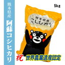 【令和1年産米】　熊本県阿蘇産コシヒカリ　精白米5kg　【送料無料】【おいしいお米】【九州産　米】【九州熊本県から直送】