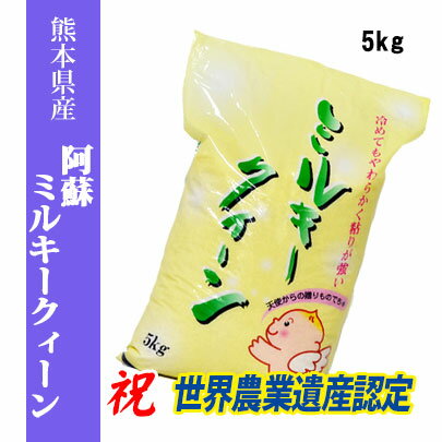 米5kg令和4年産米　熊本県阿蘇産ミルキークィーン　白米5kg　もちもち　米　熊本県産米/お米/コメ熊本県産