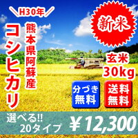 熊本県産阿蘇コシヒカリ30kg