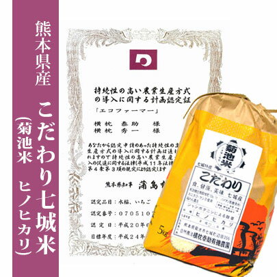 【特A】平成30年産米　熊本県産　こだわり七城米（菊池米ヒノヒカリ）　玄米30kg(10kg×3袋）【送料無料】　【おいしいお米】【九州産　米】【九州熊本県から直送】