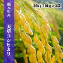 【新米】令和1年　熊本県天草産 コシヒカリ　玄米30kg(10kg×3袋)/精米27kg(9kg×3袋)【送料無料】【数量限定】【おいしいお米】【九州産　米】