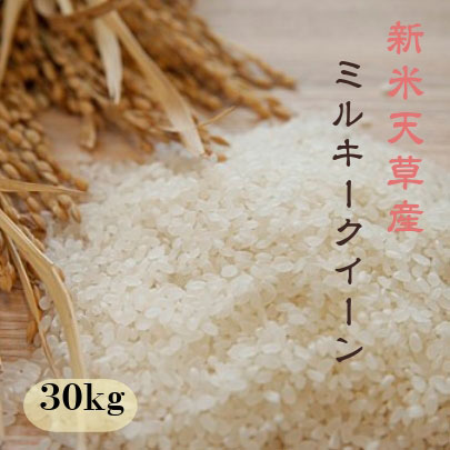 【新米】令和2年　熊本県天草産 ミルキークィーン　精米約27kg(約9kg×3袋)【送料無料】【数量限定】【契約栽培米】【おいしいお米】【米30kg 送料無料】【お米 30kg 送料無料】米/お米/コメ熊本県産【米 30kg 送料無料】【送料無料 米 30kg】