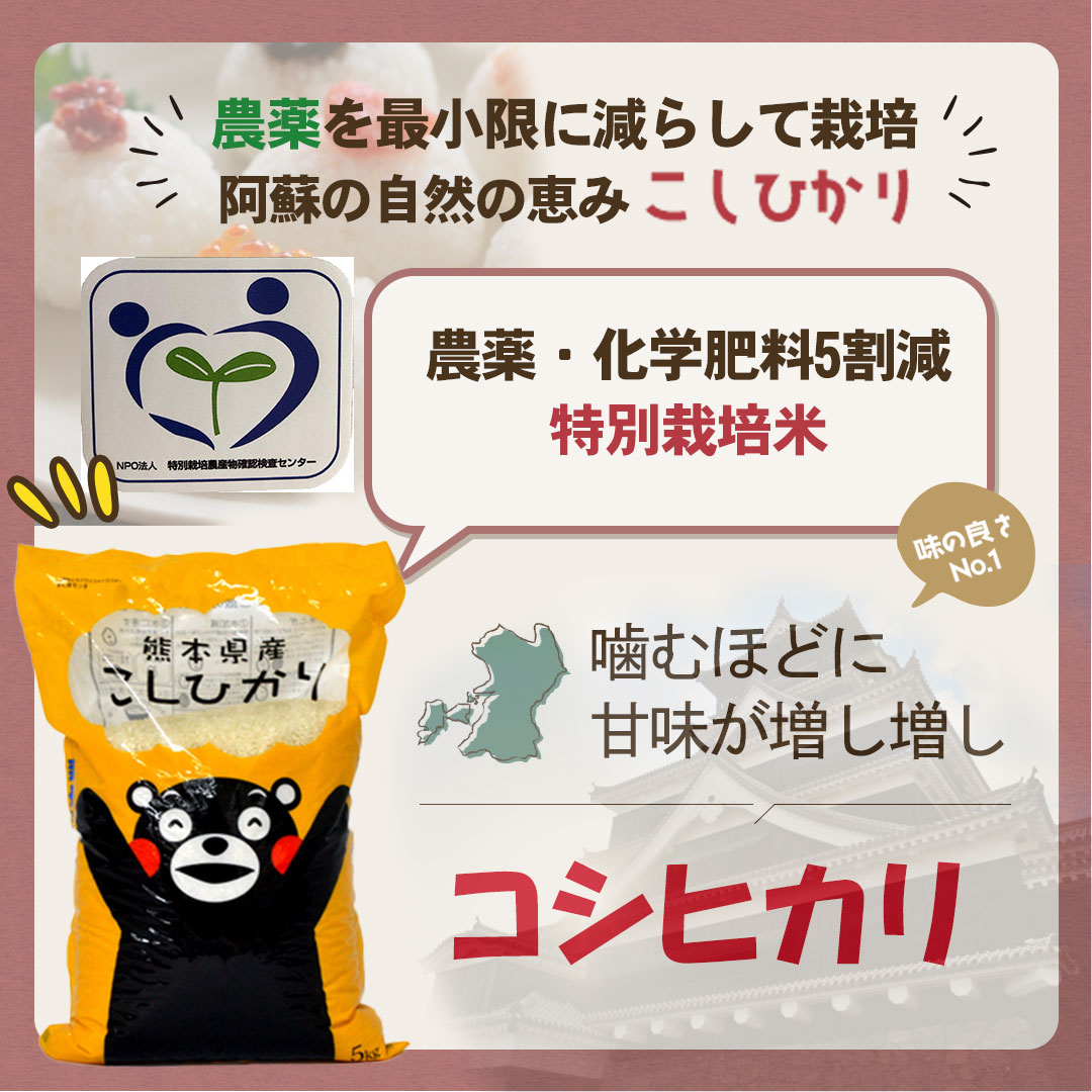 【米 10kg 送料無料】【特別栽培米】3年産熊本県阿蘇産コシヒカリ　白米10kg(5kg×2袋)【送料無料】【おいしいお米】【九州産　米】【産地直送】【五ツ星マイスター厳選】減農薬　くまモン ギフト　こしひかり