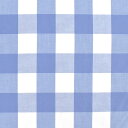 \期間限定20%OFF/ 生地 ギンガムチェック(240014-8) 802.ライトブルー 09Bk22_