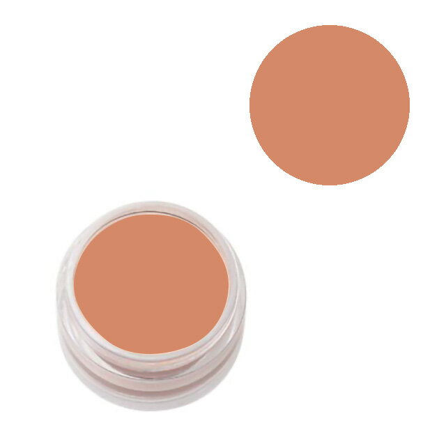 BenNye-ベンナイ- タトゥーカバー NT-3 07Cn99_