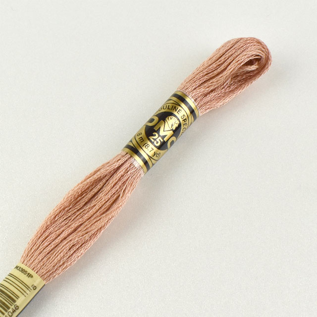 刺しゅう材料 DMC 刺繍糸 25番 色番152 06Bg99_