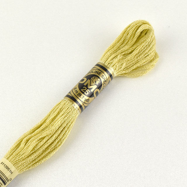 刺しゅう材料 DMC 刺繍糸 25番 色番165 06Bg99_