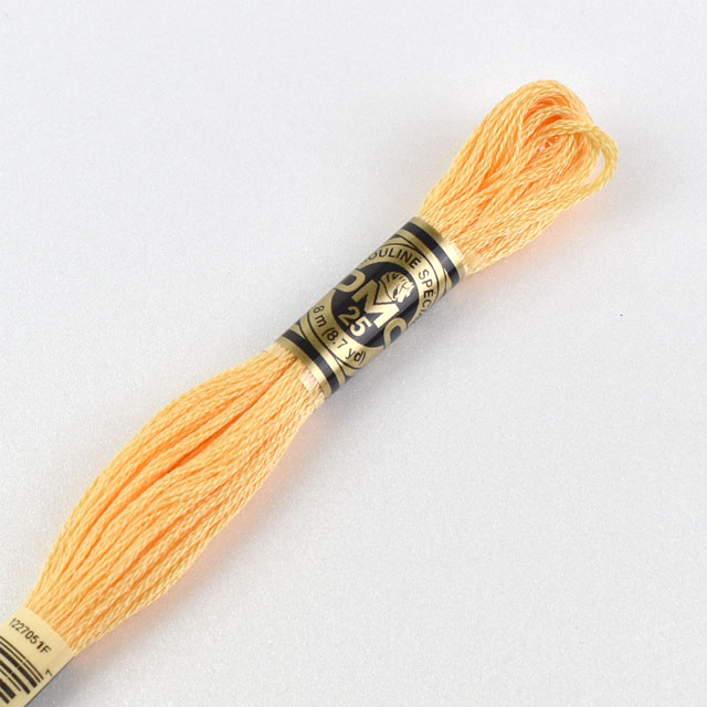 刺しゅう材料 DMC 刺繍糸 25番 色番19 (H)_5a_