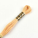 \期間限定20%OFF/ 刺しゅう材料 DMC 刺繍糸 25番 色番3856 06Bg99_(3)