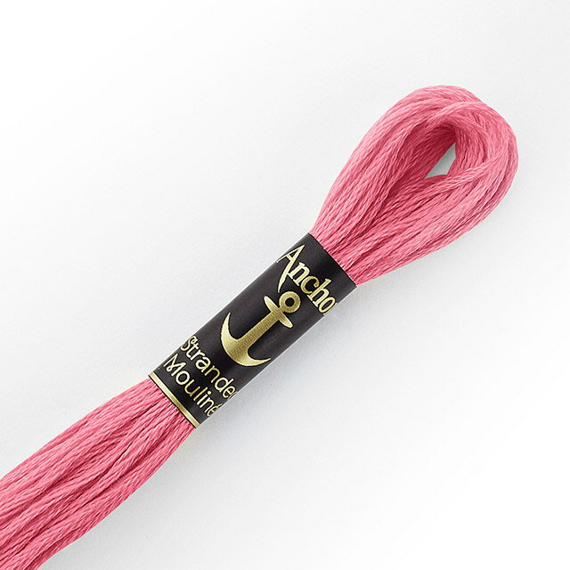 刺しゅう材料 Anchor-アンカー- 刺繍糸 25番（342100） 色番27 (H)_5a_