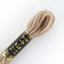 刺しゅう材料 Anchor-アンカー- タピセリーウール/ウール刺繍糸(342301) 色番9634 06Bg99_