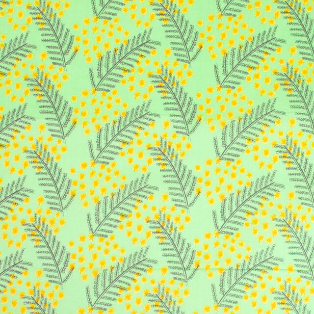 ̥᡼бʡ  kippis-åԥ- Mimosa ߥ⥶/󥰡KPS 80B.꡼ 09Ac04j