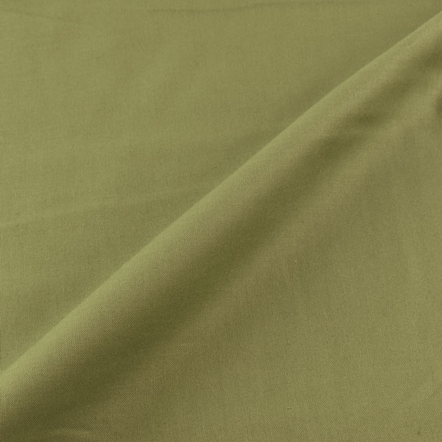 〔メール便対応商品〕生地 シーチング（AD10000L） 152.ハーブ 09Bm30_