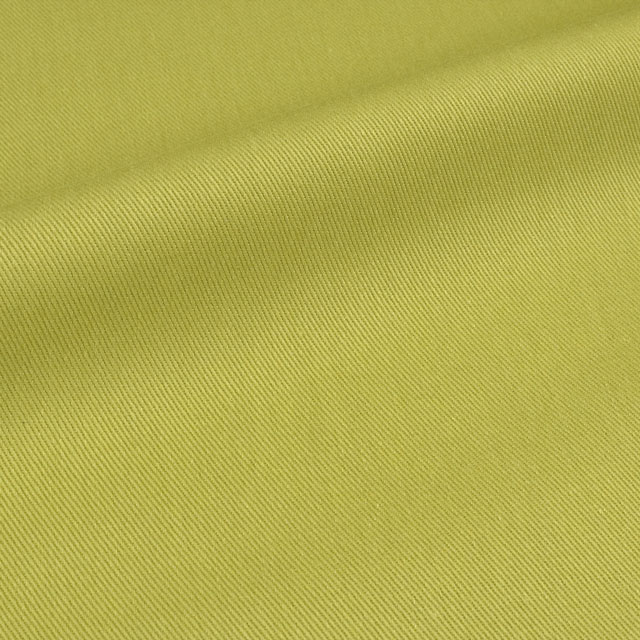 〔メール便対応商品〕 生地 FOOD TEXTILE 10sカツラギ（SBFT-P6842） KT1.小松菜 (H)_k4_