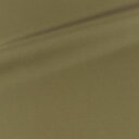 \期間限定20%OFF/ 〔メール便対応商品〕裏地 ベンワールド(AK5310) 425 09Cx49_