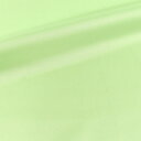 \期間限定20%OFF/ 〔メール便対応商品〕裏地 ペンターVスペシャル(2001003) 91.うす黄緑 09Cx49_