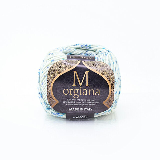 毛糸 リッチモア（ハマナカ） モルジアナ 色番1 06Co99_