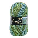 毛糸 Opal-オパール- ヴァン・ゴッホ 4ply/4本撚り 5434.タンクタイ橋 06Co99j