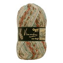 毛糸 Opal-オパール- ヴァン・ゴッホ 5437.アニエールのレストラン・ド・ラ・シレーヌ (B)_5bj 毛糸 Opal-オパール- ヴァン・ゴッホ 5437.アニエールのレストラン・ド・ラ・シレーヌ (B)_5bj