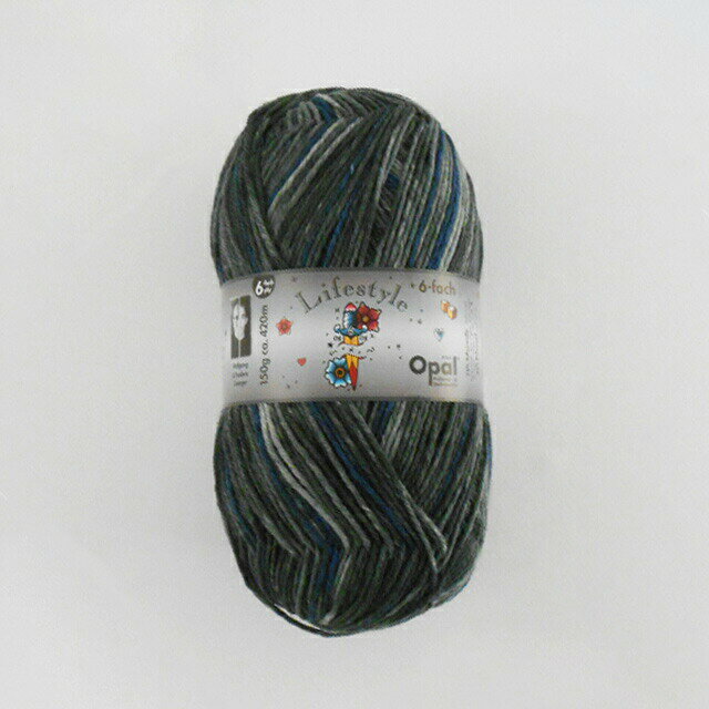 毛糸 Opal-オパール- ライフスタイル/6本撚り 9877.ワイルド (M)_b1j