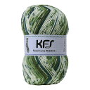 毛糸 Opal-オパール- 気仙沼カラー 4ply/4本撚り KFS108.森/グリーン系マルチカラー (M)_b1j