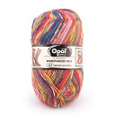 毛糸 Opal-オパール- フンデルトヴァッサー4 4ply/4本撚り 4054.アフリカでの別れ (M)_b1j